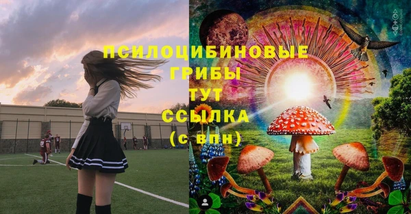 ALPHA PVP Краснослободск