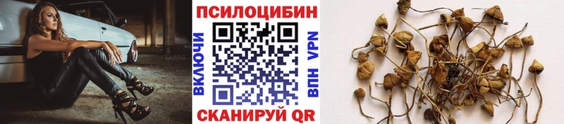 Купить где  Южа  Галлюциногенные грибы мухоморы